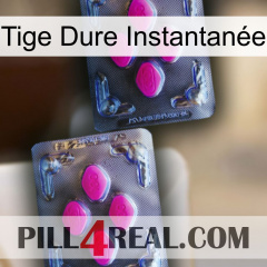 Tige Dure Instantanée 01